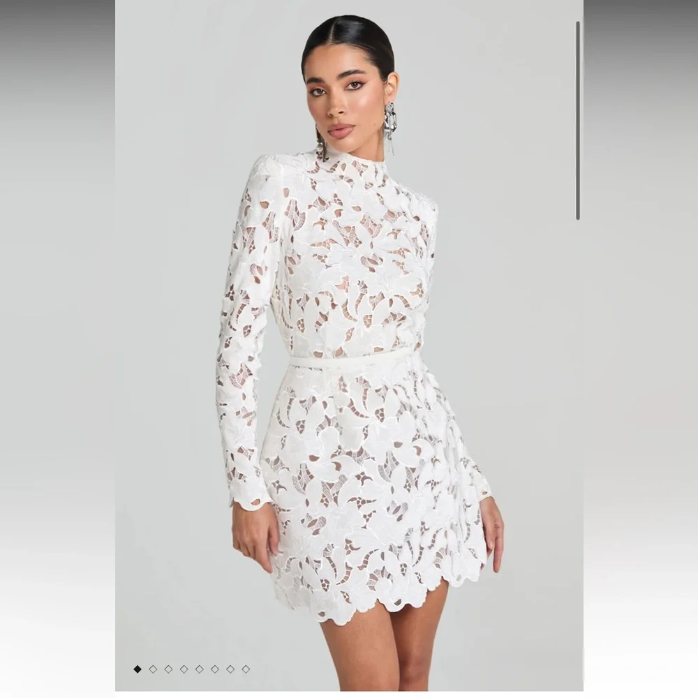 NADINE MERABI Ivory Lace Long Sleeve Dress - Picture 1 of 5